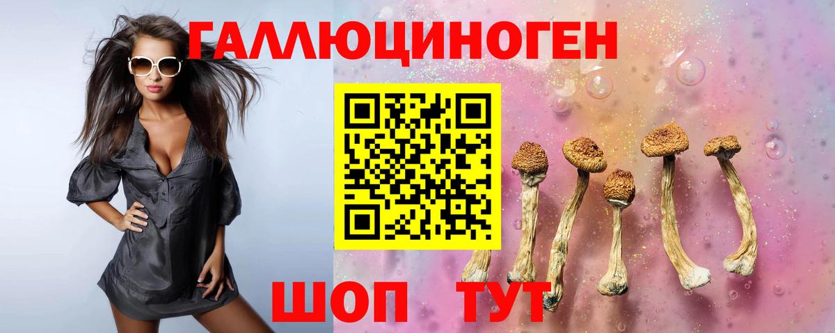 Псилоцибиновые грибы прущие грибы Курчатов